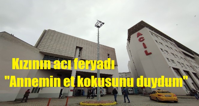 Tandıra düşen kadın yaralandı!
