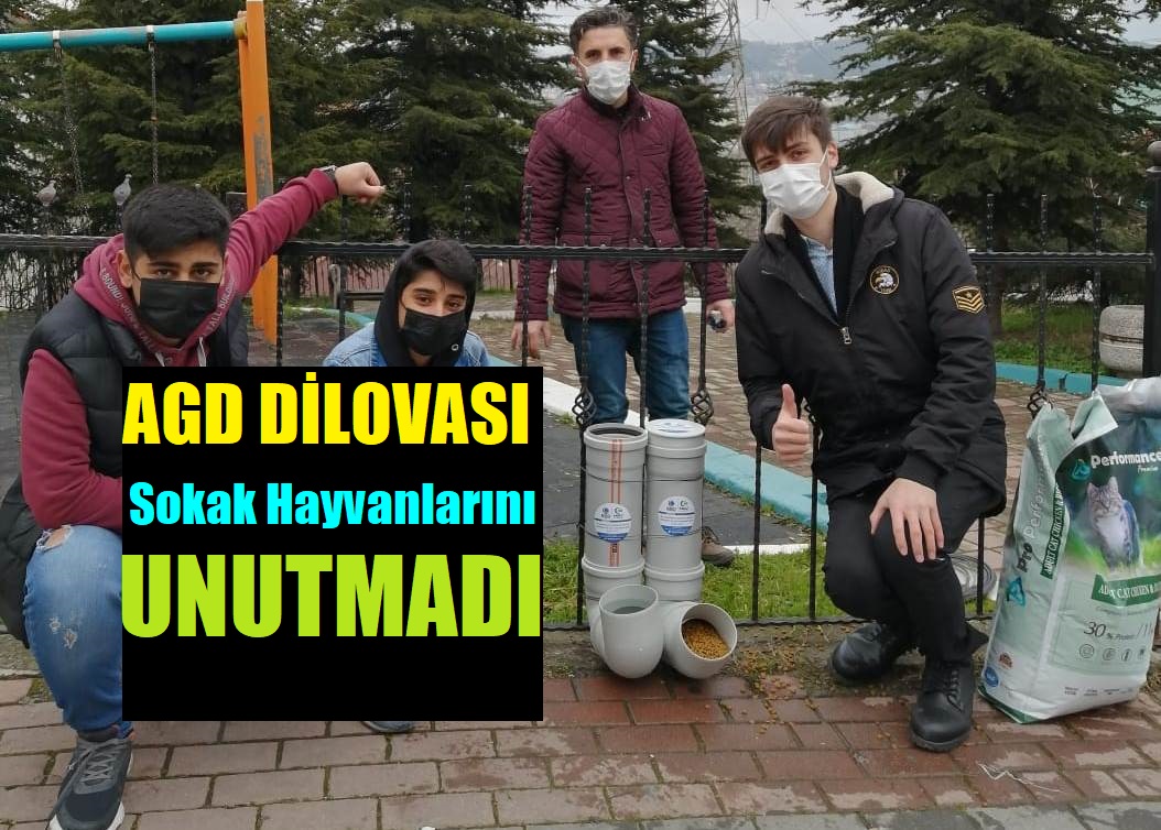 AGD Dilovası Sokak Hayvanlarını Unutmadı!