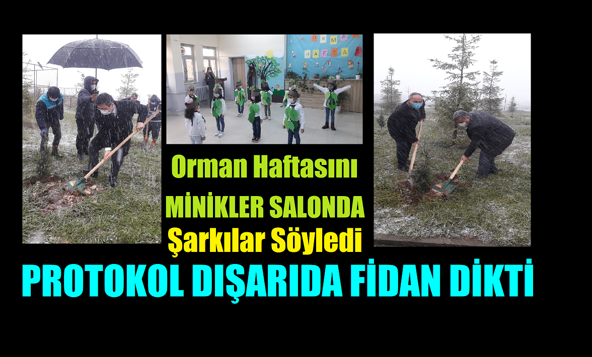 Minikler Orman Haftasını Kutladı!