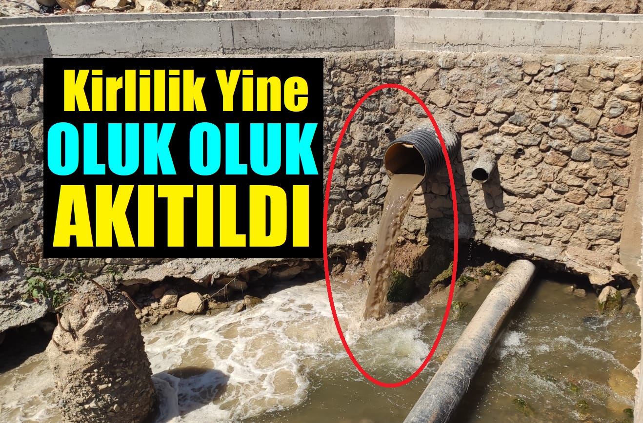Dilderesine oluk oluk kirli su akıtıldı!