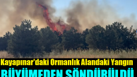 Kayapınar Mahallesindeki Ağaçlık Alanda Çıkan Yangına  Hızlı Müdahale!