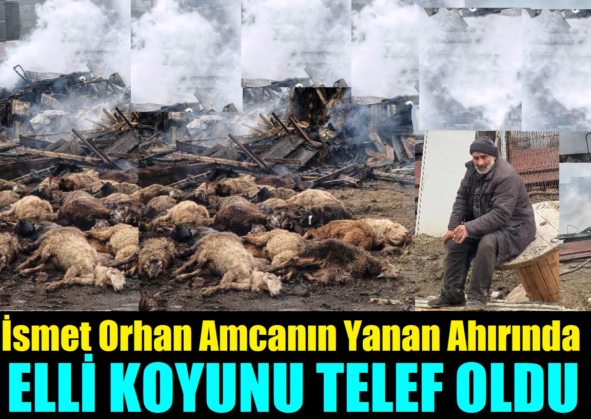 Yangında İsmet Amcanın Kül Olan Ahırında, 50 Hayvan Telef Oldu