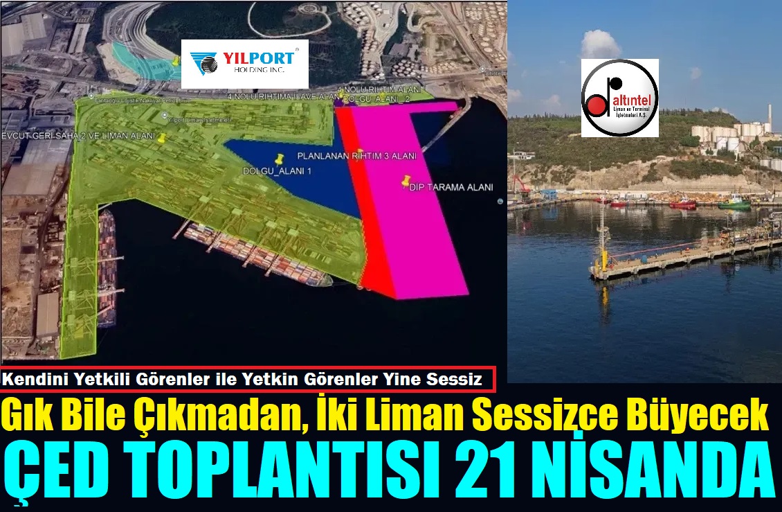 YILPORT ile Altıntel Limanlarında Dev Hamle